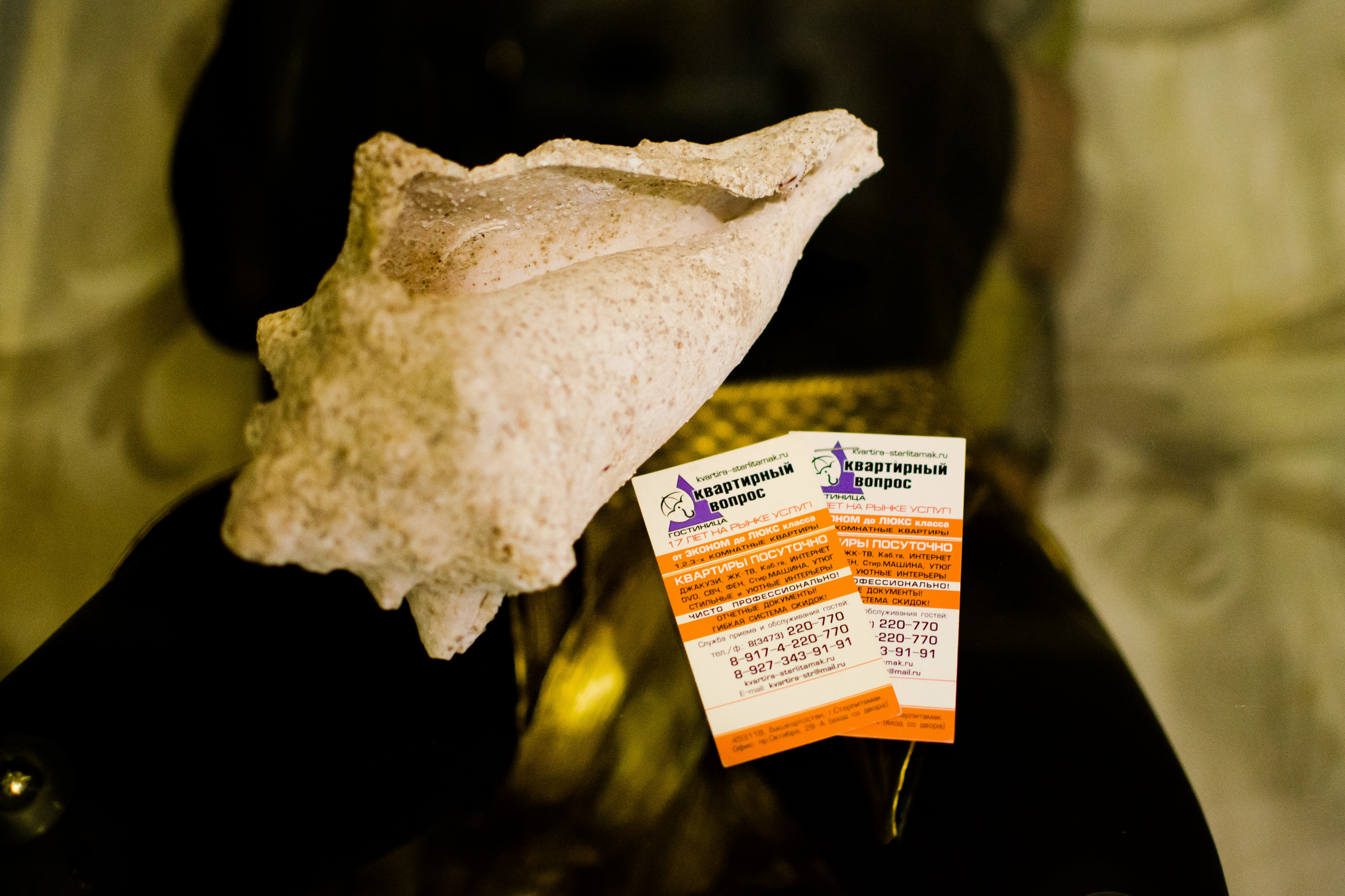 Квартира посуточно